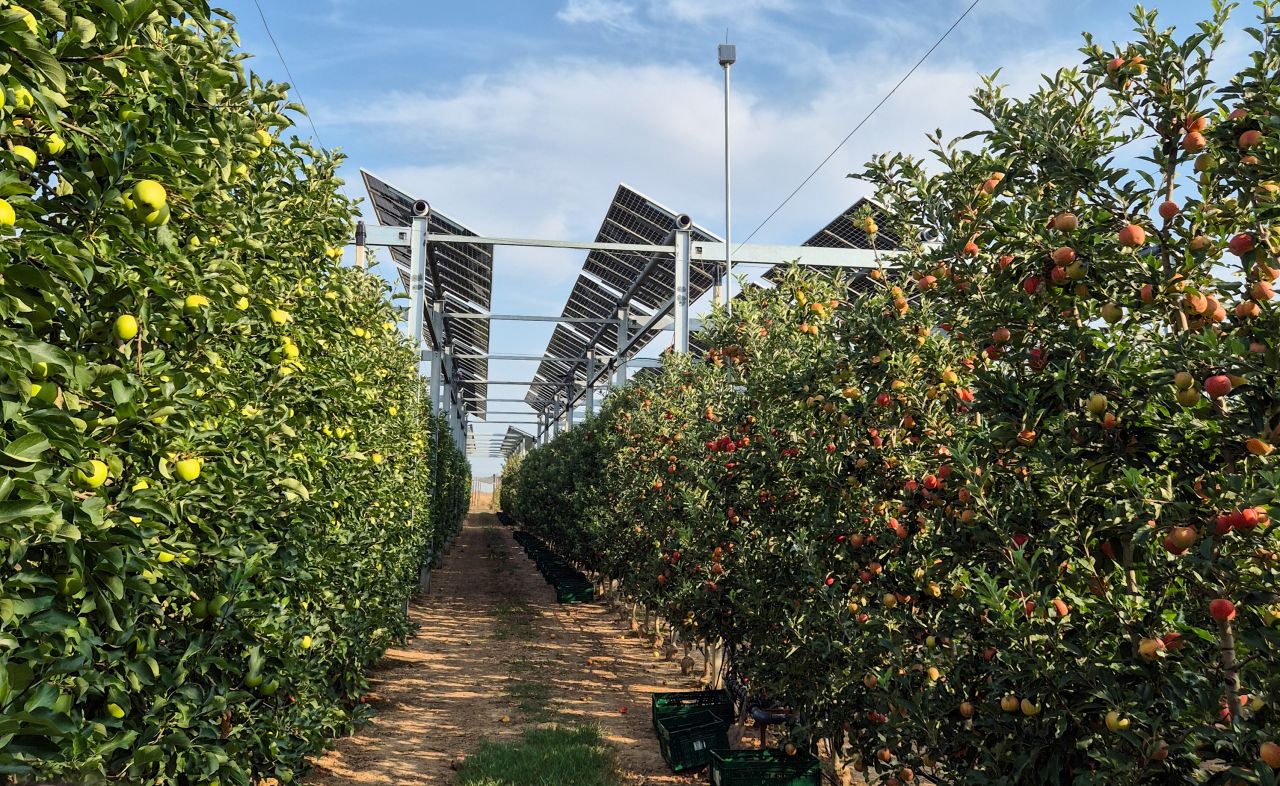 Une installation agrivoltaïque expérimentale sur le site de Mollerussa (Lleida, Espagna) de l'IRTA FruitCenter