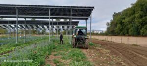 RÉCOLTE AGRIVOLTAÏQUE au centre expérimental de Neiker à Vitoria-Gasteiz (province d’Álava, Pays basque, Espagne) – ESSAI PILOTE SUR DES CULTURES HERBACÉES